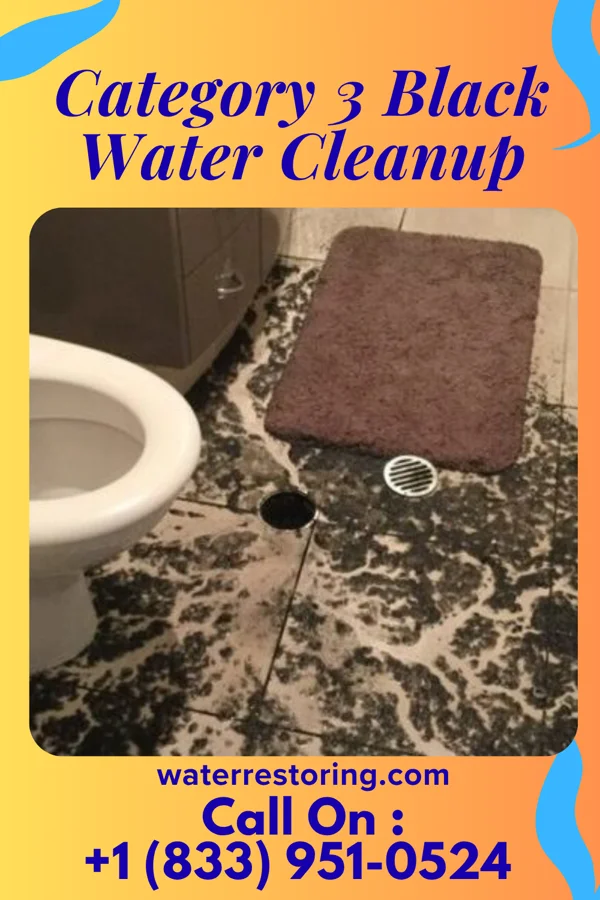 Category 3 Black Water Cleanup in Rome, NY