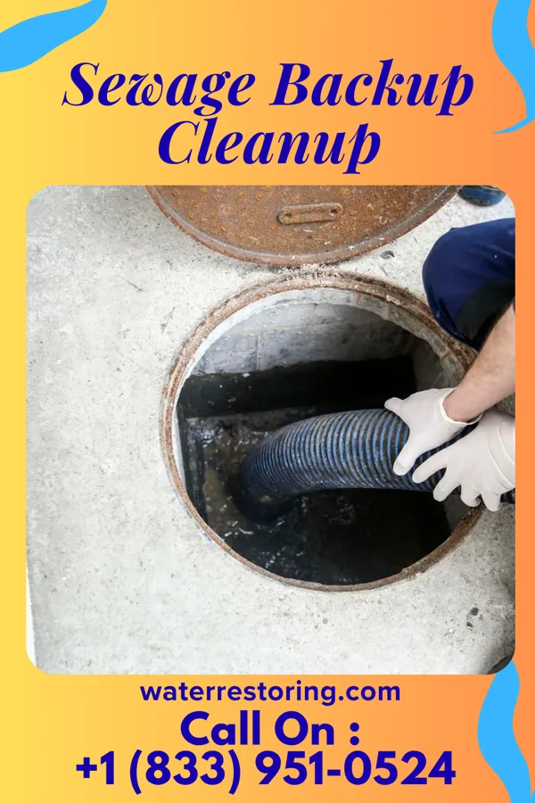 Sewage Backup Cleanup in Rome, NY
