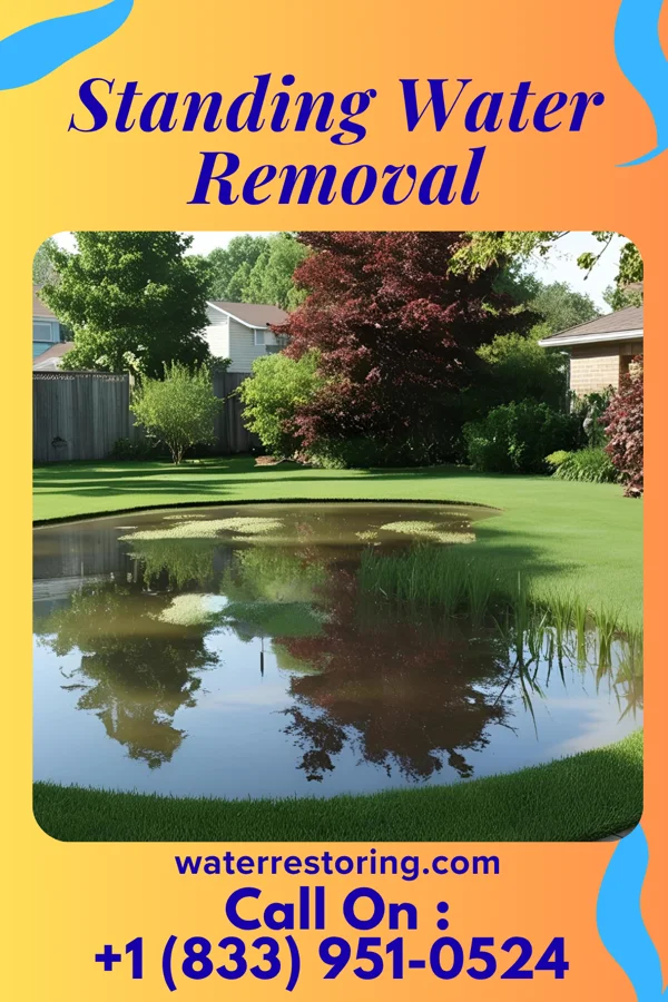 Standing Water Removal in Rome, NY